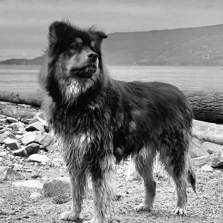 Portrait of Tucker